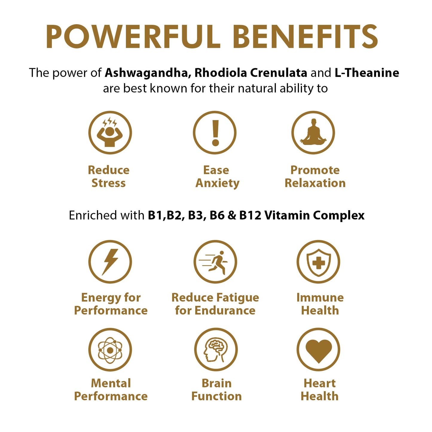 OMG! Ashwagandha Mind & Body Super Plant Gummies | Vegan & Gluten Free Gummy (60) with L-Theanine, Rhodiola & Vitamin B1, B2, B3, B6 & B12 Complex by OhMyGummie | 1000mg High Strength