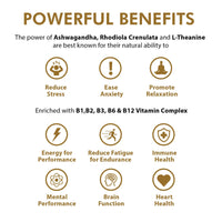 OMG! Ashwagandha Mind & Body Super Plant Gummies | Vegan & Gluten Free Gummy (60) with L-Theanine, Rhodiola & Vitamin B1, B2, B3, B6 & B12 Complex by OhMyGummie | 1000mg High Strength