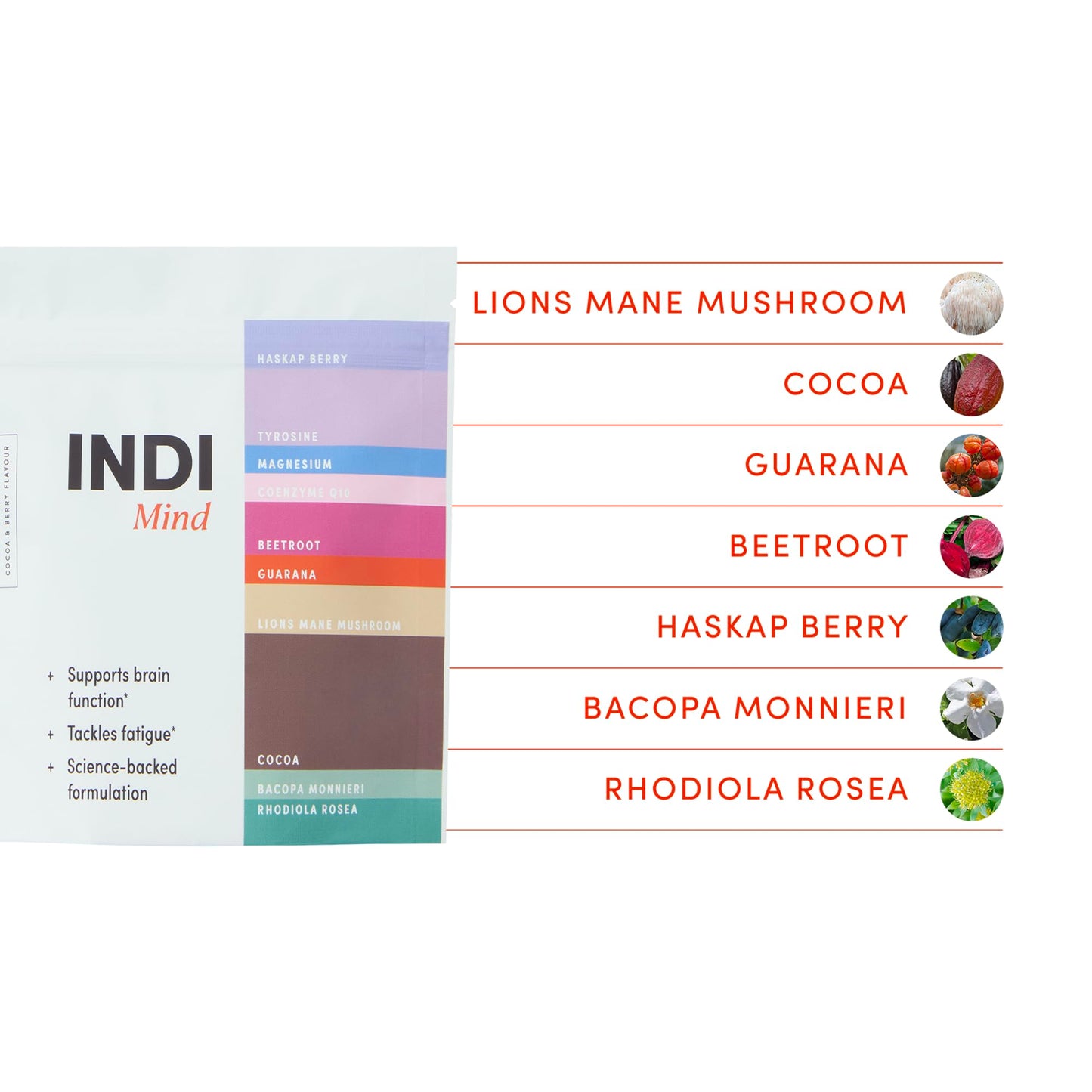 Indi Mind Supplement - Plant-Based Nootropic Powder for Brain Function - Improves Focus, Supports Memory and Combats Fatigue - Cocoa and Berry Flavour with Lions Mane- Trial Pouch (7 Servings)