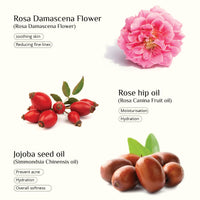 SEAWEED ORGANICS - Seaweed Skinfood face cream, Organic Scottish seaweeds, Organic rosehip, Vitamin E, Nourishing Day Cream, Submit Cosmetic Product Notification in the UK, 30g, DIANA DRUMMOND