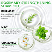 JYW Natural Rosemary Strengthening Shampoo with Mint, Hair Nourishing Formula with Biotin, 300ml