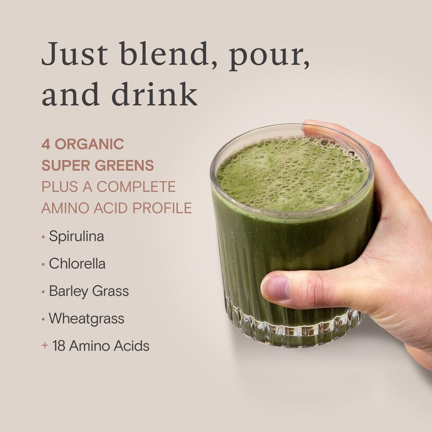 Wild Nutrition WILD NUTRITION Food-Grown® Vegan Protein Powder Super Food Blend | Organic Ingredients No Synthetics | Pea Protein, Sprirulina, Reishi, Chaga, Wheatgrass & More | Gluten Free