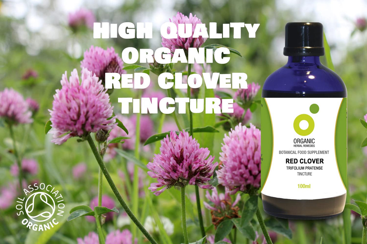 Organic Herbal Remedies Red Clover Tincture, 100 ml