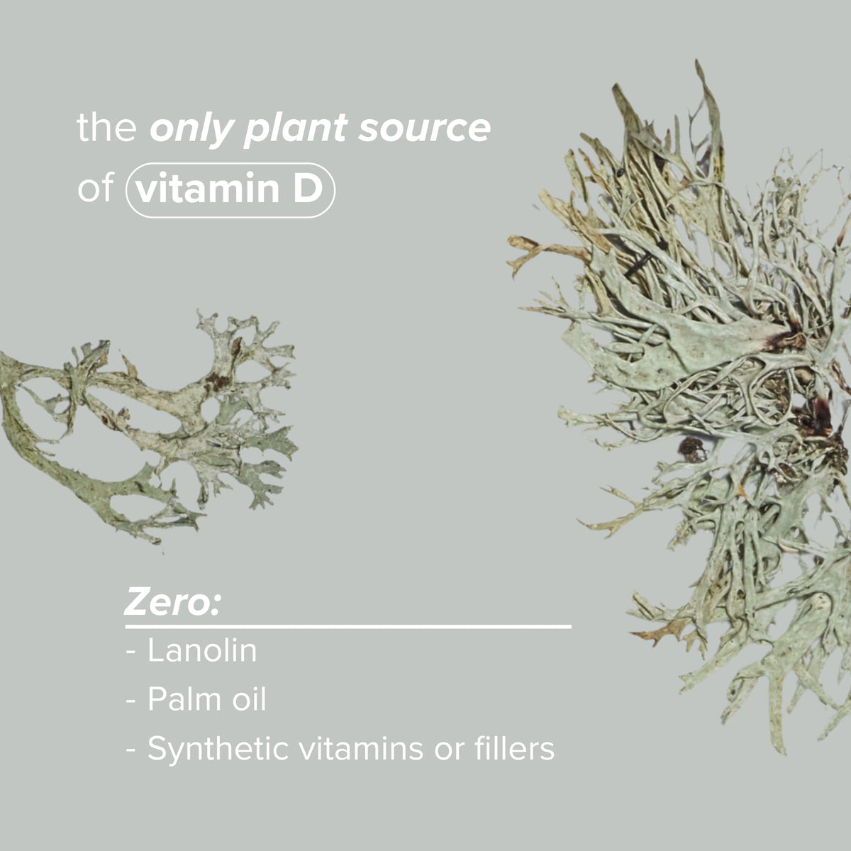 BOTANYCL Botanycl Vegan Vitamin D3 - As Seen on Dragons’ Den - 2500 IU - 120 Capsules - 4 Month Supply - 100% Plant-Based from Lichen - Supports Hair, Mood, Immune Health & Bone Strength