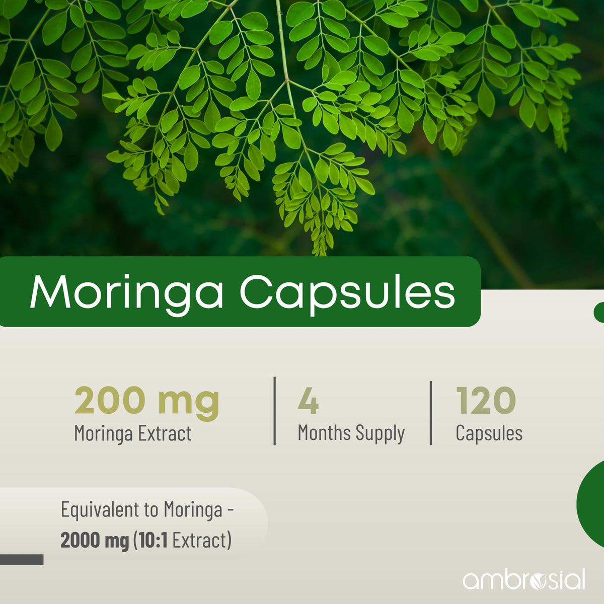 AMBROSIAL Ambrosial Moringa Capsules 2000 mg High Strength | 4 Months Supply – Premium Moringa Leaf Extract 10:1 Concentrate – Natural Plant-Based Herbal Supplement for Daily Wellness Support – 120 Capsules