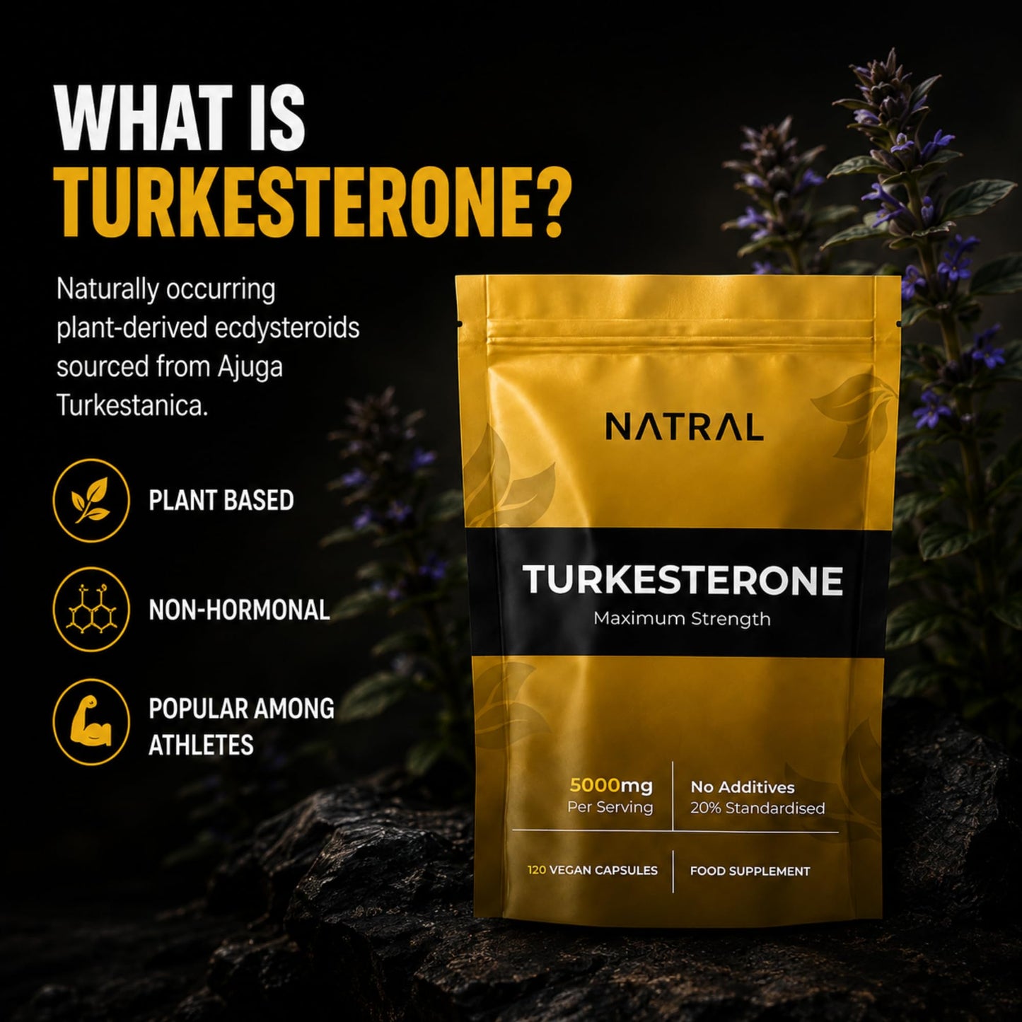 Natral Turkesterone Supplement 5000mg - 120 Caps High Strength - Standardized to 20% Ajuga Turkestanica Extract - for Muscle and Strength - Pure Extract No Additives Or Filler