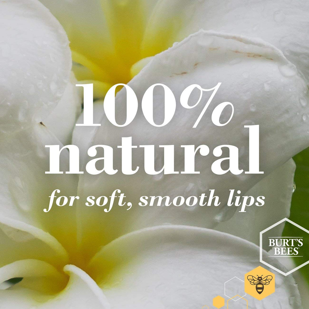 Burt's Bees Burtâ€™s Bees Wild Cherry Lip Balm