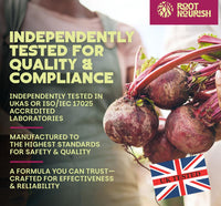 RootNourish Beetroot Gummies – High Strength Iron, Vitamin C, B12 & Folic Acid Supplement for Energy, Circulation, Tiredness & Immune Support – 60 Gummies