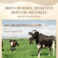 Generic Beef Tallow Balm Stick – Grass-Fed Tallow & Honey with Beeswax – Natural Moisturizing Skincare Balm for Face & Body (1pcs)