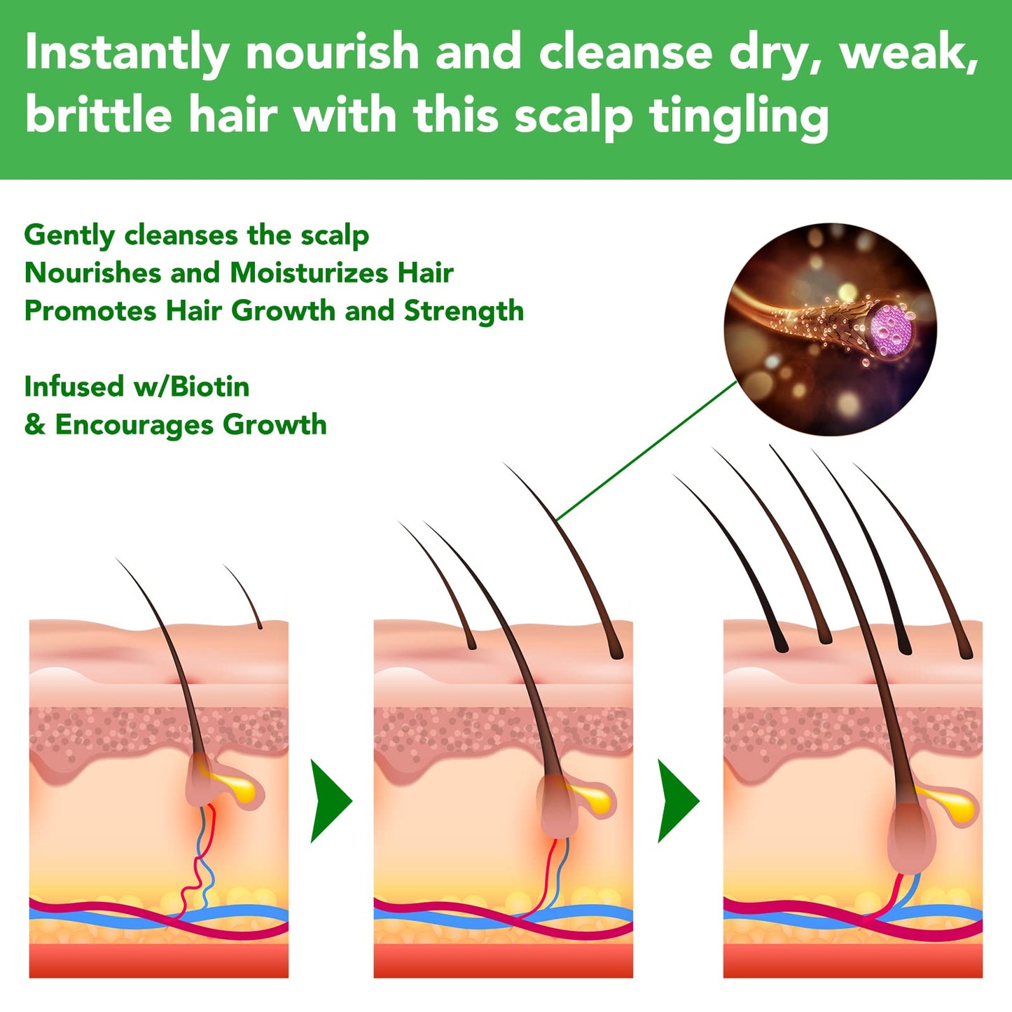 JYW Natural Rosemary Strengthening Shampoo with Mint, Hair Nourishing Formula with Biotin, 300ml