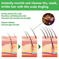 JYW Natural Rosemary Strengthening Shampoo with Mint, Hair Nourishing Formula with Biotin, 300ml