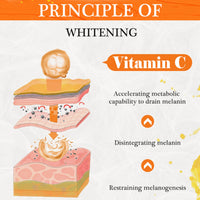 Vitamin C Face Cream – Hyaluronic Acid And Vitamin C&E,Face Moisturiser For Women,Anti Aging&Wrinkle,Natural Skin Care Hydrate,Plump,Brightening Skin Care Lighten Dark Spots Erase Fine Lines (1PCS)
