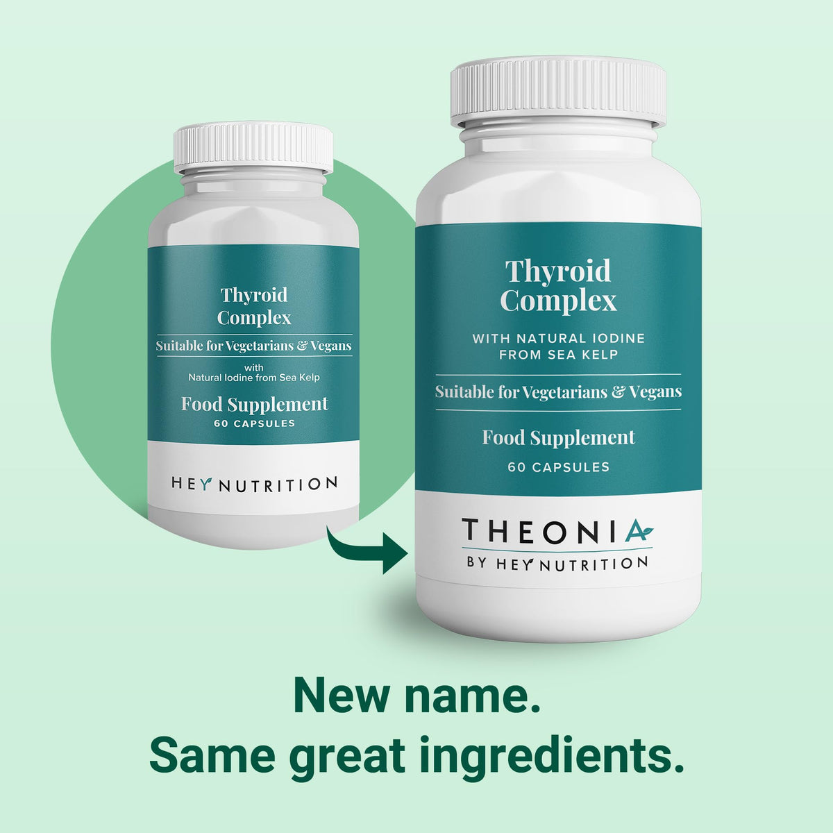 Theonia Thyroid Complex Supplement - Copper, Iron, Zinc, Selenium, Vitamin B Blend - Advanced Thyroid Function - 60 Capsules/30 Servings - Non-GMO, Vegan