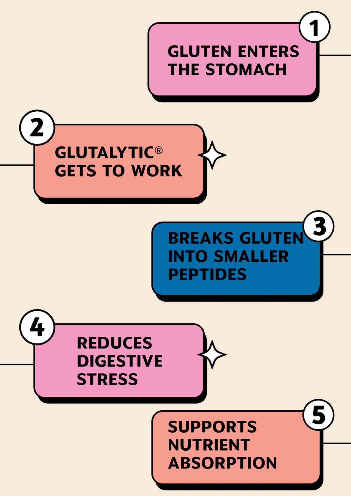 EatEnjoy Glutalytic Digestive Enzyme Supplement | 20 Capsules