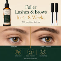 Prolixir Organic Castor Oil for lashes & Brows, Cold Pressed Lash & Brow Growth, Repair & Conditioning Oil with Vitamin E, Precision Applicators, For Fuller Looking Lashes, Brows, Hair & Nails, 60ml