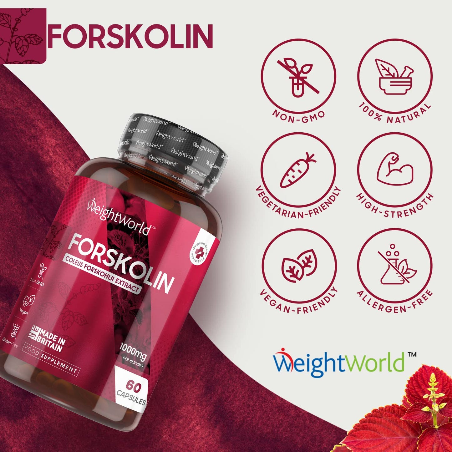 WeightWorld Forskolin Capsules 1000mg - 60 Vegan Capsules - Coleus Forskohlii Extract - Keto & Low Carb Diet Friendly Supplement for Men & Women - Allergen & GMO-Free