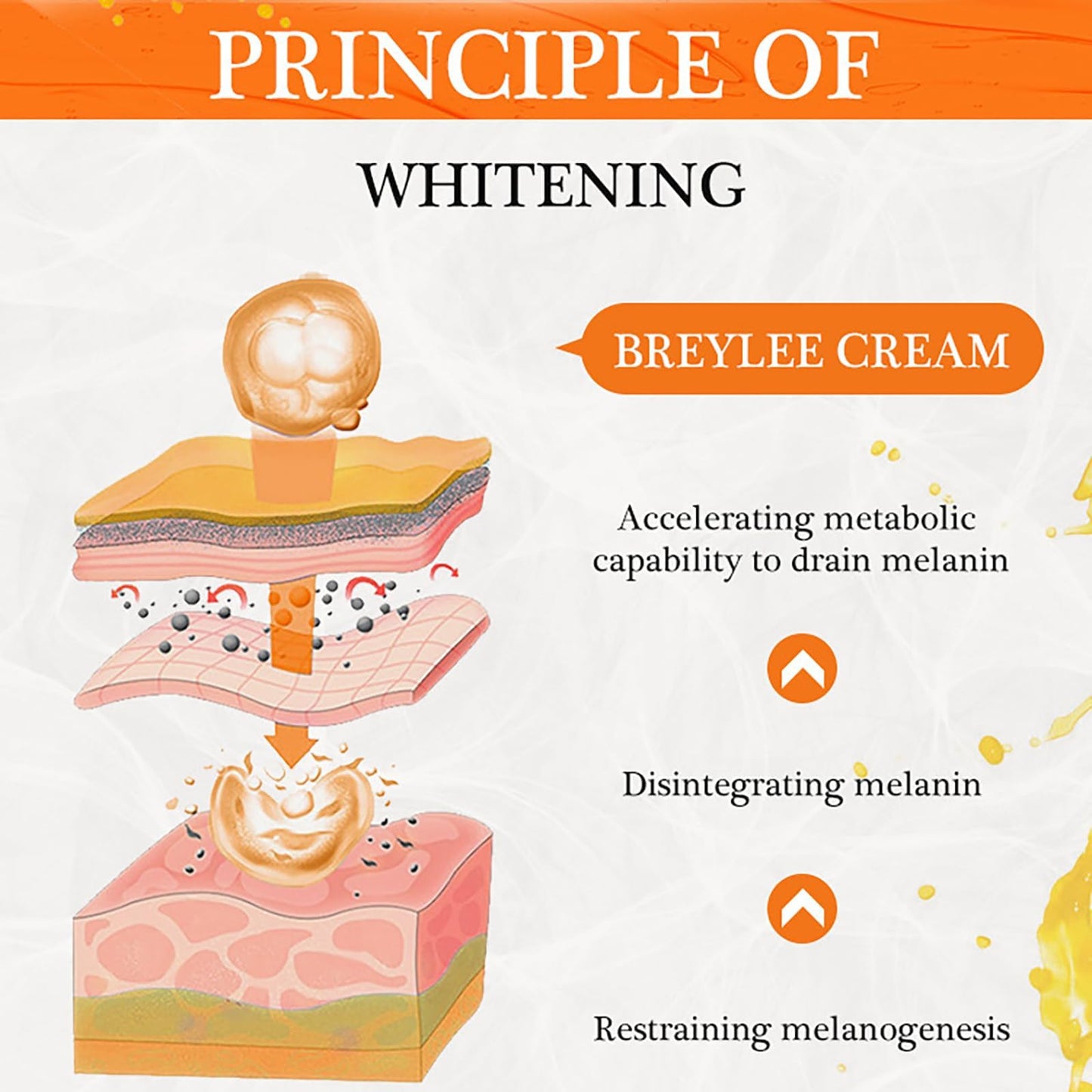 KKwoter Vitamin C Face Cream with Hyaluronic Acid and Vitamin C&E, Anti-Aging & Wrinkle Reduction, Erase Dark Spots and Fine Lines, Natural Skin Care to Hydrate, Plump, and Moisturize for Women