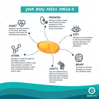 Omvits Vegan Omega 3 DHA from Algae Oil 1000mg - 60 Softgel Capsules with Vitamin E - Sustainable Algal Alternative to Fish Oil - Vegetarian Essential Fatty Acids - Supports Heart, Brain & Eyes
