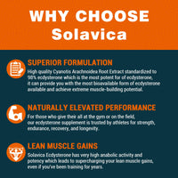 Solavica Beta Ecdysterone Supplement 1200mg Per Serving (60 Capsules)-1 Month Supply-98% Maximum Purity Ecdysterone for Endurance & Muscle Growth