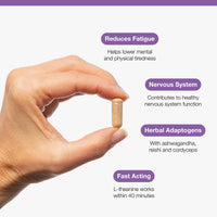 Metagenics - Resilience - Supports Fatigue - with Ashwagandha, Ginseng, Lemon Balm + Mushroom Extracts with L-theanine & Vitamins - 60 Capsules