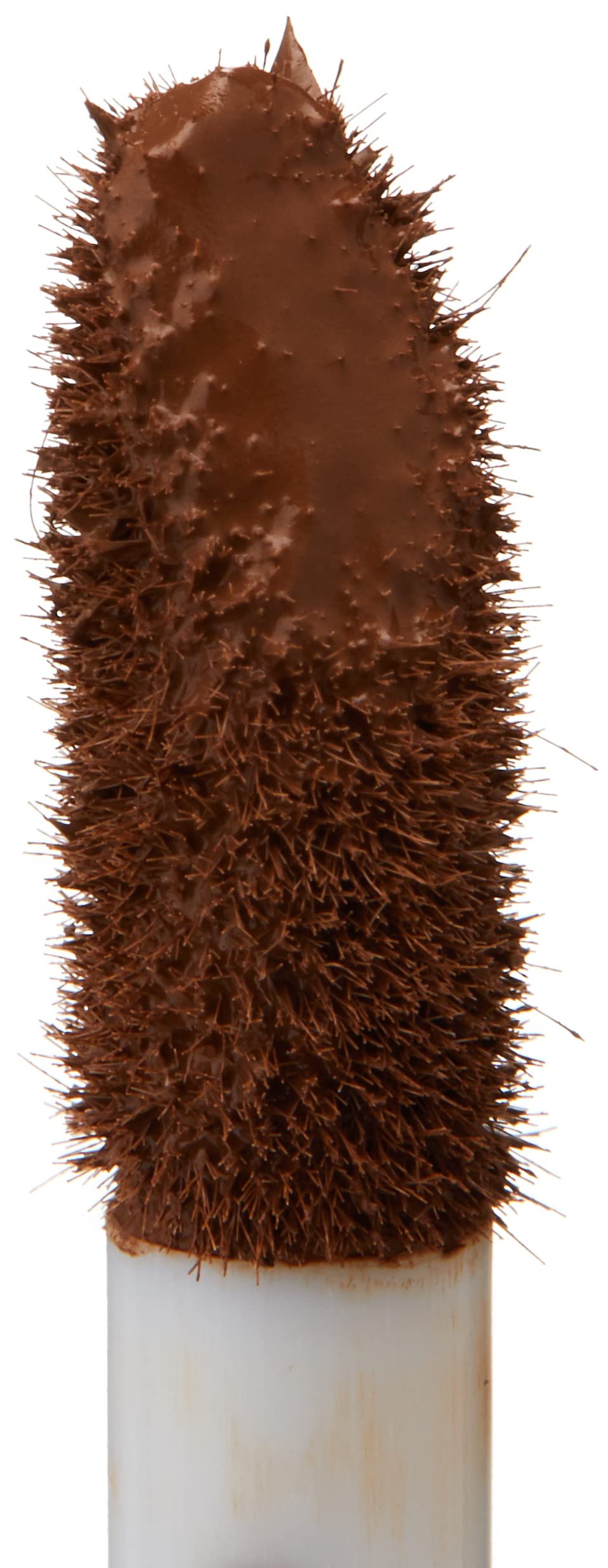 Collection Lasting Perfection Concealer, Cool Dark, 6.5 ml