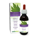 Motherwort (Leonurus cardiaca) herb with Flowers Alcohol-Free Mother Tincture Naturalma - Liquid Extract Drops 120 ml - Food Supplement - Vegan