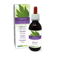 Motherwort (Leonurus cardiaca) herb with Flowers Alcohol-Free Mother Tincture Naturalma - Liquid Extract Drops 120 ml - Food Supplement - Vegan