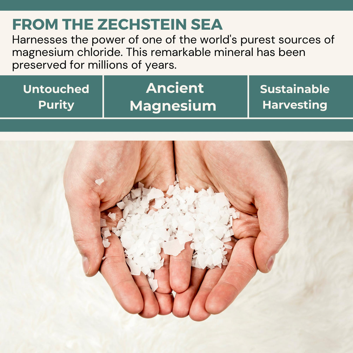 Osimagnesium Magnesium and OptiMSM Body Butter, 0.2369 kg