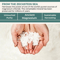 Osimagnesium Magnesium and OptiMSM Body Butter, 0.2369 kg