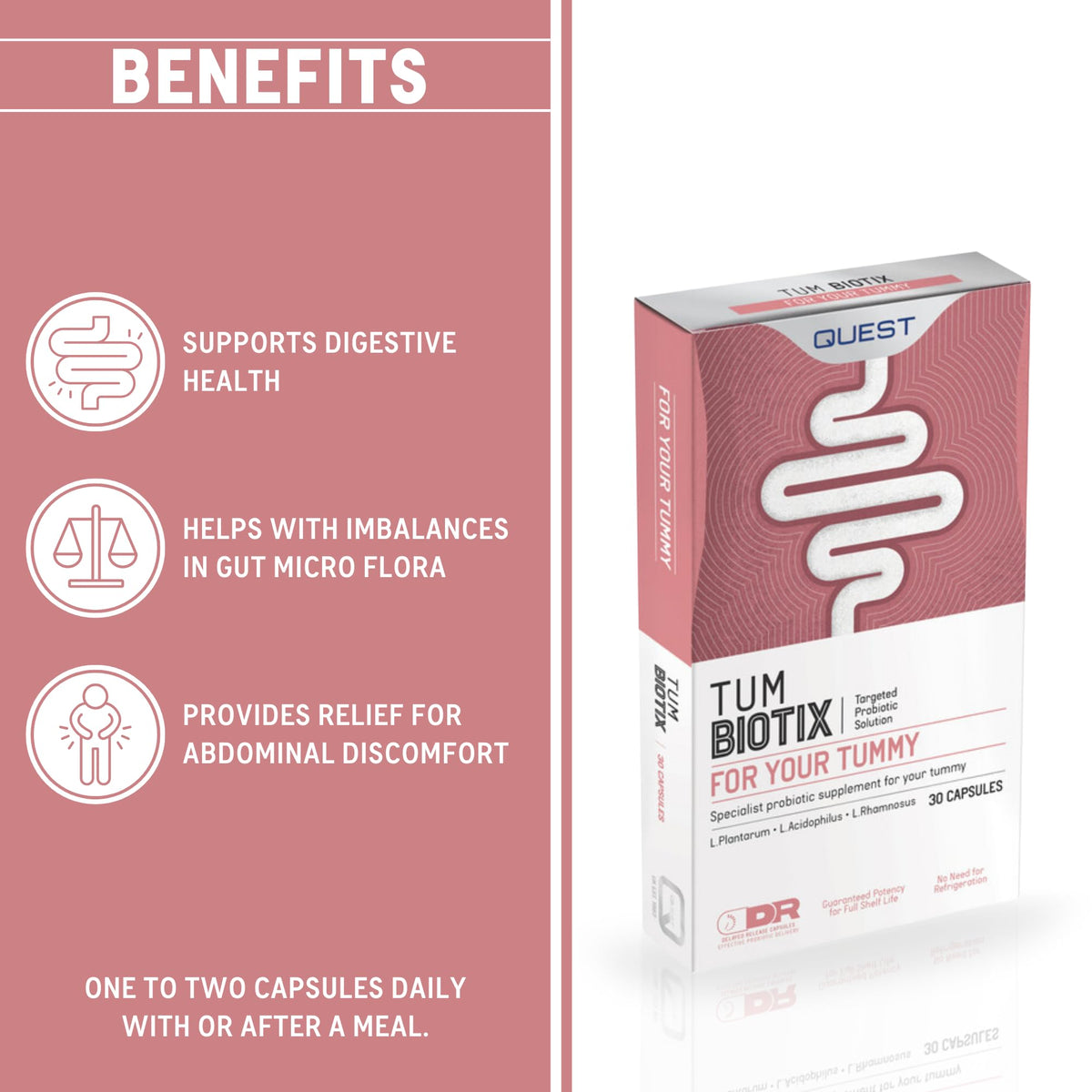 Quest Tum Biotix Gut Health Probiotics Supplements & Balance Gut Flora. 2 Billion CFU Helps Restore Gut Friendly Bacteria. Vegan Multi Strain Probiotic Digestive Supplement (30 Capsules)