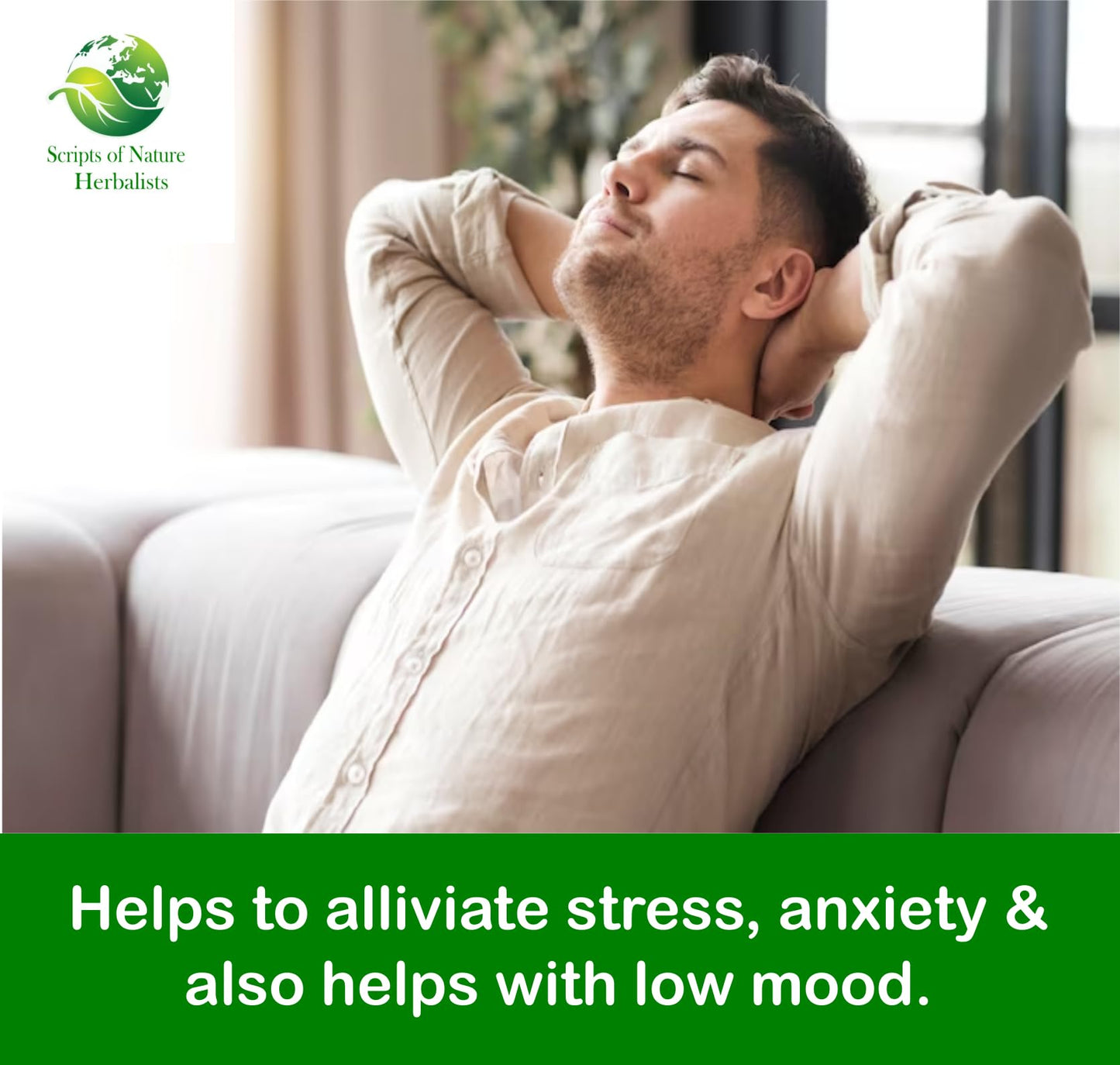 Scripts of Nature Powerful for Anxiety and Low Mood 3 x Adaptogen: Ashwagandha, Rhodiola Rosea & Panax Ginseng