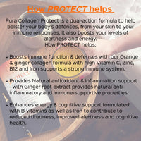 Pura Collagen Protect Collagen Powder | 5,000mg Bovine Collagen Peptides with Vitamin C, D3, B12, Zinc & Iron | Immune Support with Ginger Root Extract – 28 Servings, 284g