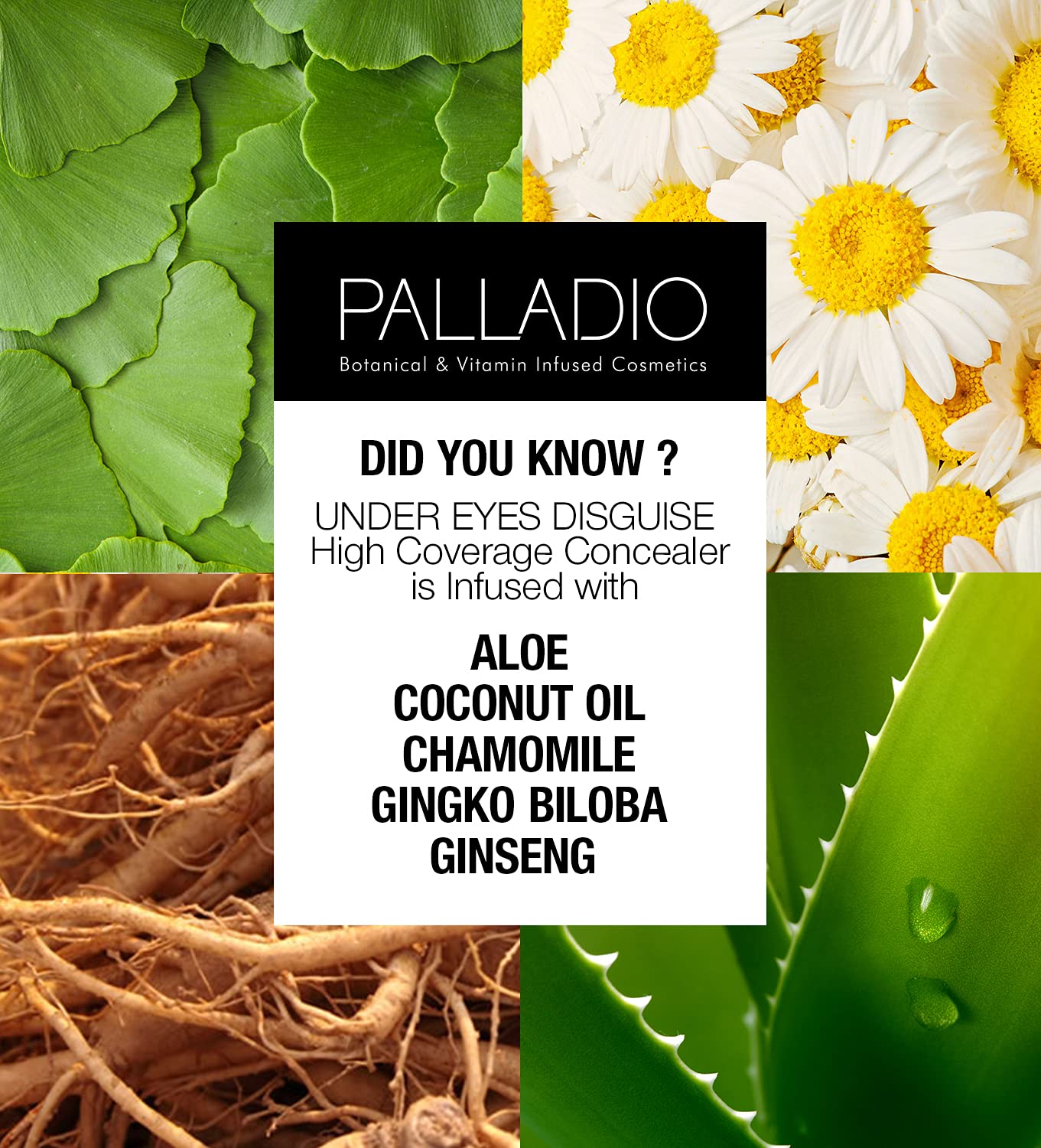 Palladio Full Coverage Concealer, Under Eyes Disguise, Creamy Face and Eye Concealer, Evens Skin Tone, Conceals Blemishes, Dark Circles and Fine Lines, Use with Concealer Brush, Vanilla Latte