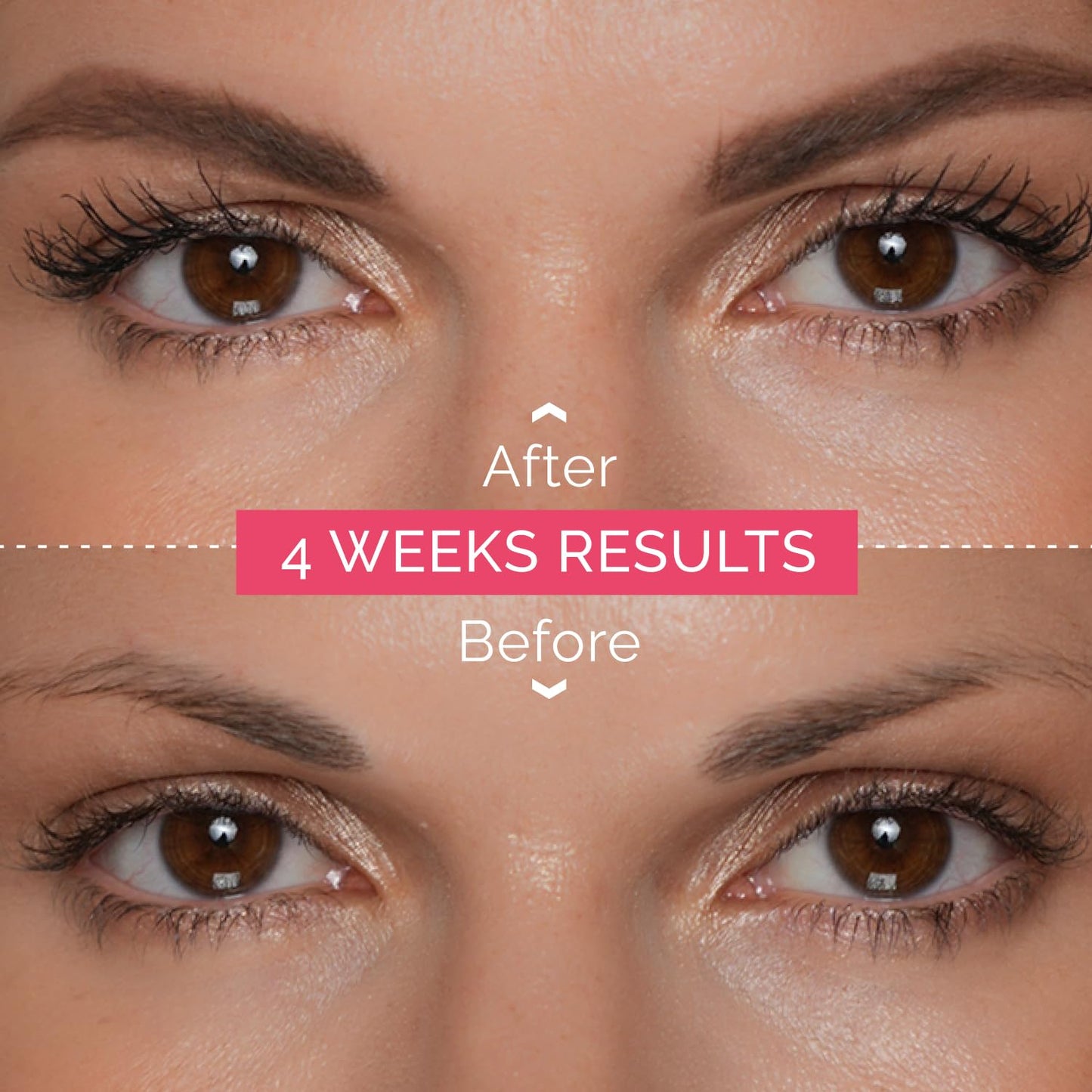 RB RENATA BEAUTY Renata Beauty Eyebrow Dye – Premium Brow Tinting Color – 15 ml Customizable Long-lasting Eyebrow Tint with 4 Week Results – Safe and Gentle Eyebrow Tint Color – 4 Colors Available [Brown Dye]