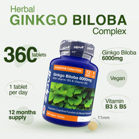Zipvit Ginkgo Biloba 6000mg with Vitamins B3 & B5, 360 Vegan Tablets, Supports Memory, Focus, Brain Health & Cognitive Wellness, Standardised 50:1 Leaf Extract, 12 Months Supply.