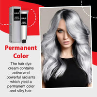 GNAUMORE Silver Gray Hair Dye,Silver Gray Natural Hair Dye Cream,Fashion Permanent Color Cream,Silver Gray Natural Hair Color Cream,Unisex Silver Hair Dye,Grey Permanent Hair Dye, with Two Hair Dye Kits