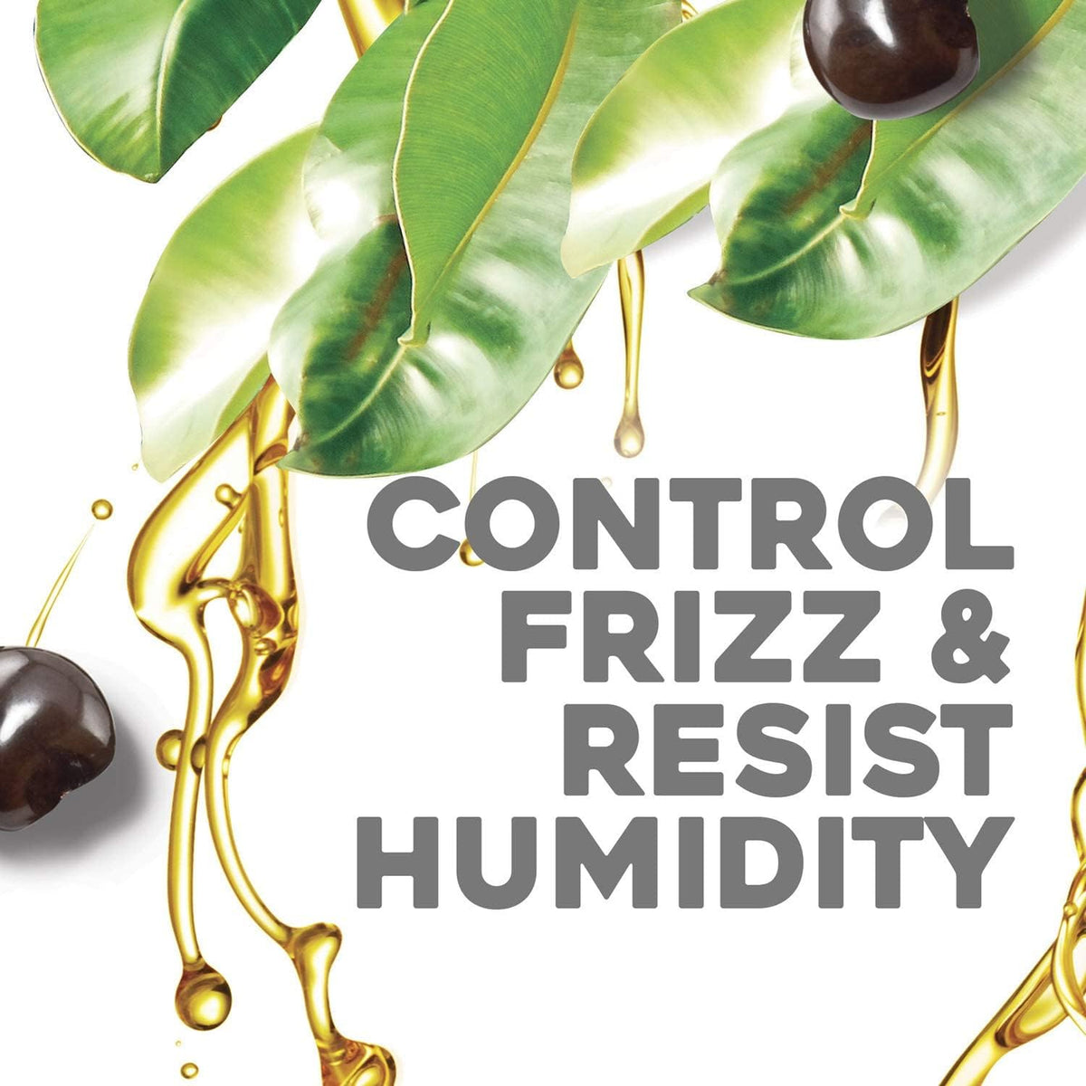 OGX Kukui Oil Conditioner for Frizzy Hair, 385ml