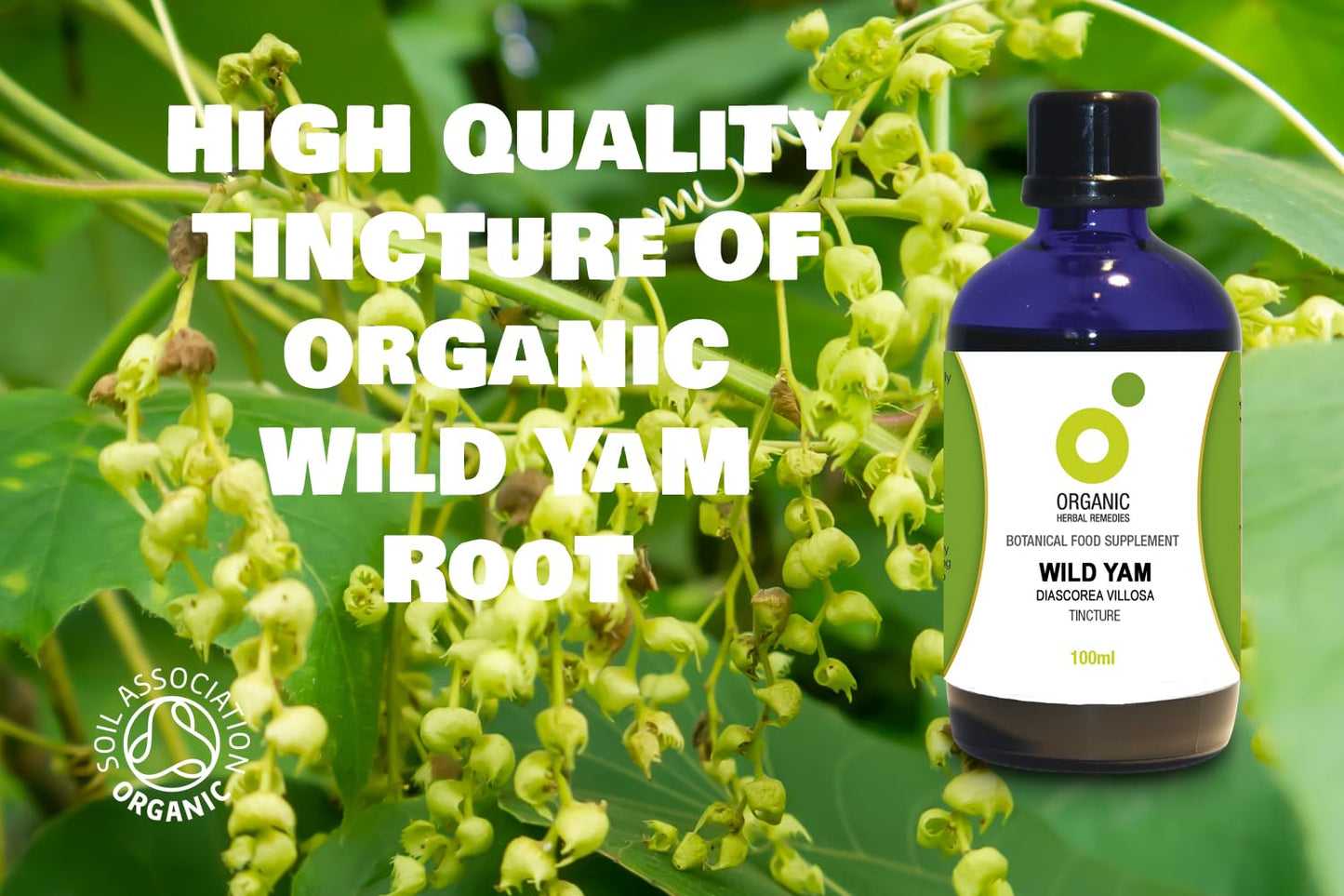 Organic Herbal Remedies 100ml Wild Yam Tincture