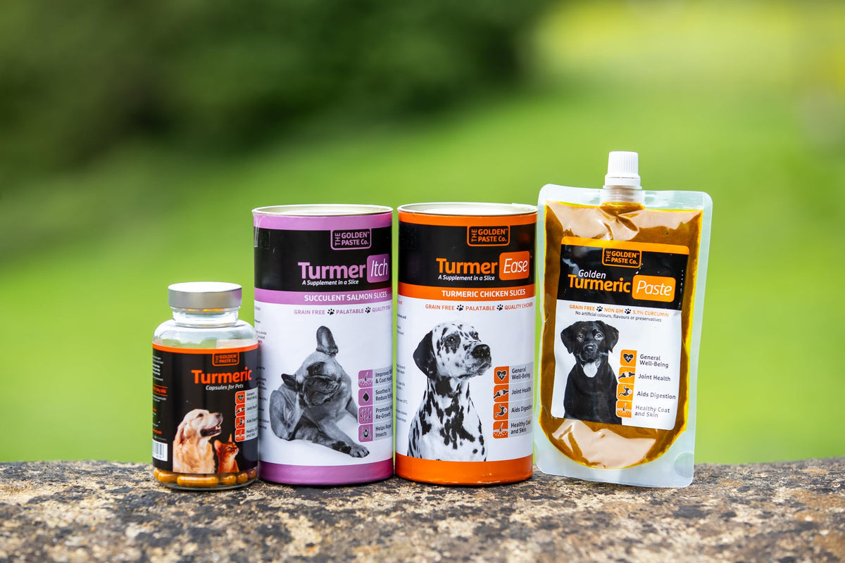 The Golden Paste Co. The Golden Paste Company - Natural Premium Turmeric for Dogs - 90 Capsules - Dog Supplements for Pet Joint Care, Wellness & Digestion - Joint Supplements for Dogs - Advanced Dog Joint Supplements