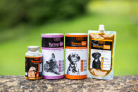 The Golden Paste Co. The Golden Paste Company - Natural Premium Turmeric for Dogs - 90 Capsules - Dog Supplements for Pet Joint Care, Wellness & Digestion - Joint Supplements for Dogs - Advanced Dog Joint Supplements