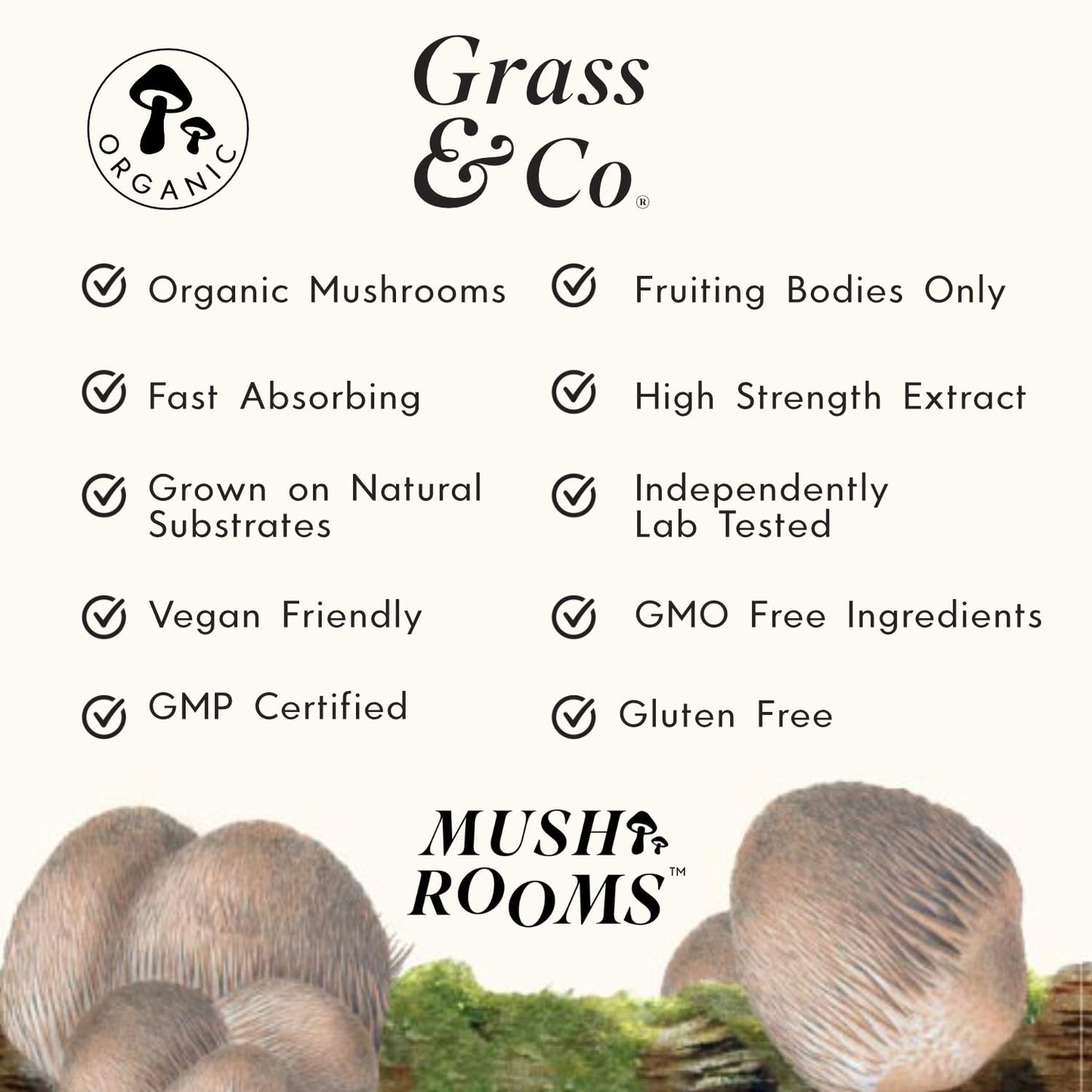 Grass & Co | FOCUS Lion's Mane Mushroom Capsules | Supports Cognitive Health | 60 Capsules | 30 Servings | Lion's Mane Extract, Ginseng, Omega-3, Vitamins B12 & D