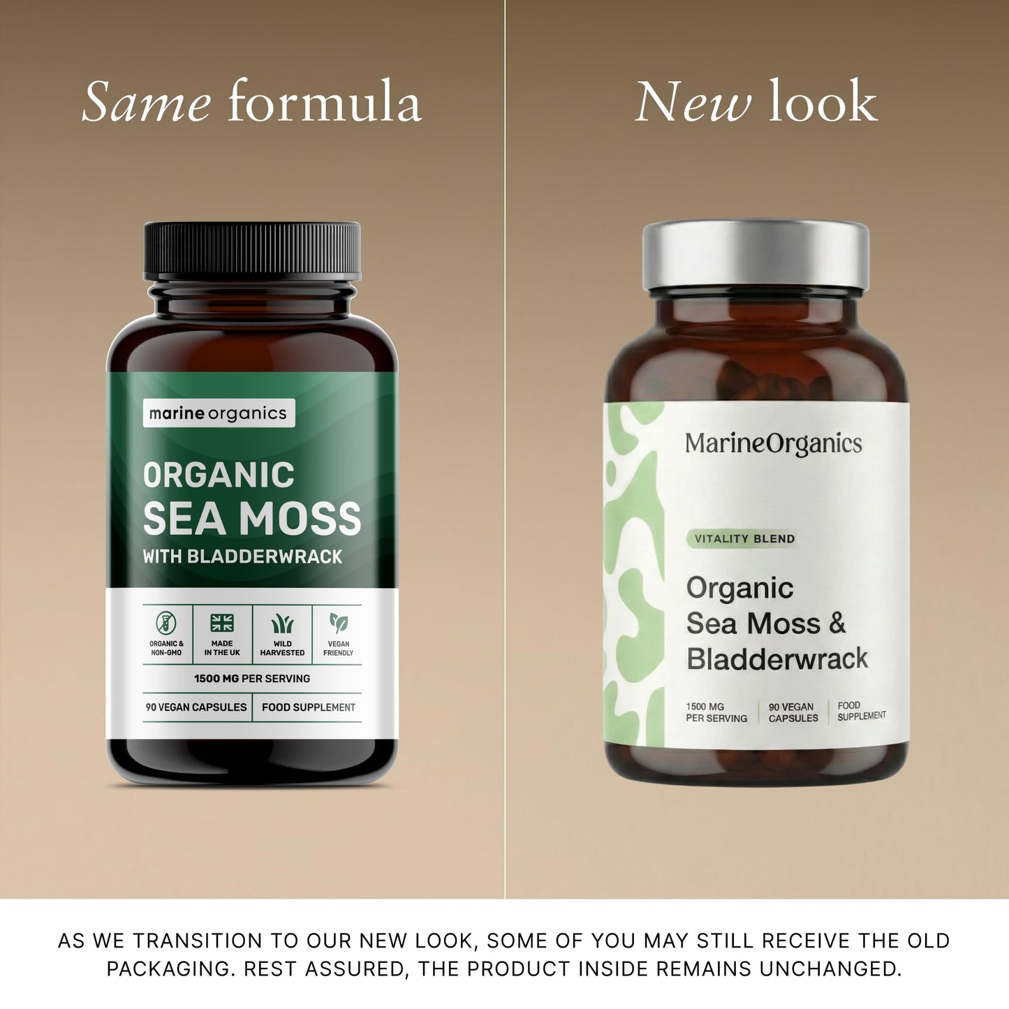 Marine Organics MarineOrganics Organic Sea Moss Capsules - 90 Irish Sea Moss and Bladderwrack Capsules - Iodine Tablets - UK Wild Harvested Seamoss - High Potency