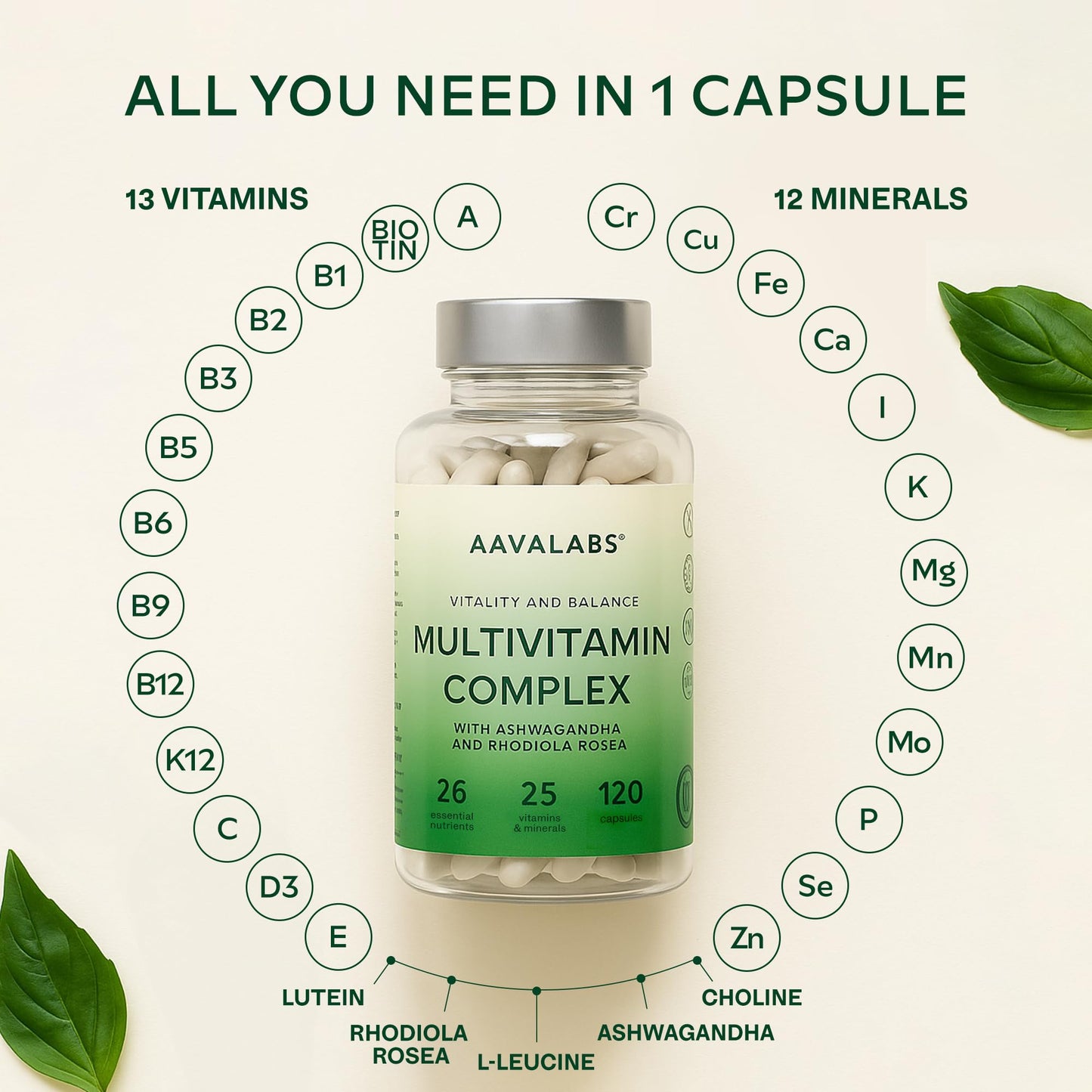 AAVALABS Multivitamin Complex with 25 Vitamins and Minerals + Ashwagandha and Rhodiola Rosea - Multivitamin Tablets for Women and Men - with Vitamin C & Vitamin D - Multivitamins and Minerals - 120 Capsules