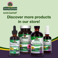 Nature's Answer, Sambucus (Black Elder), 2500mg, Alcohol Free, Vegan, 240ml, Lab-Tested, Gluten Free, Soy Free, Vegetarian, Non-GMO
