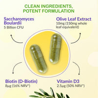 Saccharomyces Boulardii Probiotic – 90 Capsules | 5 Billion Friendly Bacteria with Olive Leaf, Biotin & Vitamin D | Natural Yeast Supplement for Gut Balance & Immune Support | UK Made by vh1be