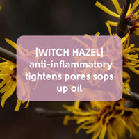 Pretty Face Facts Witch Hazel Forehead & Chin Pore Strips