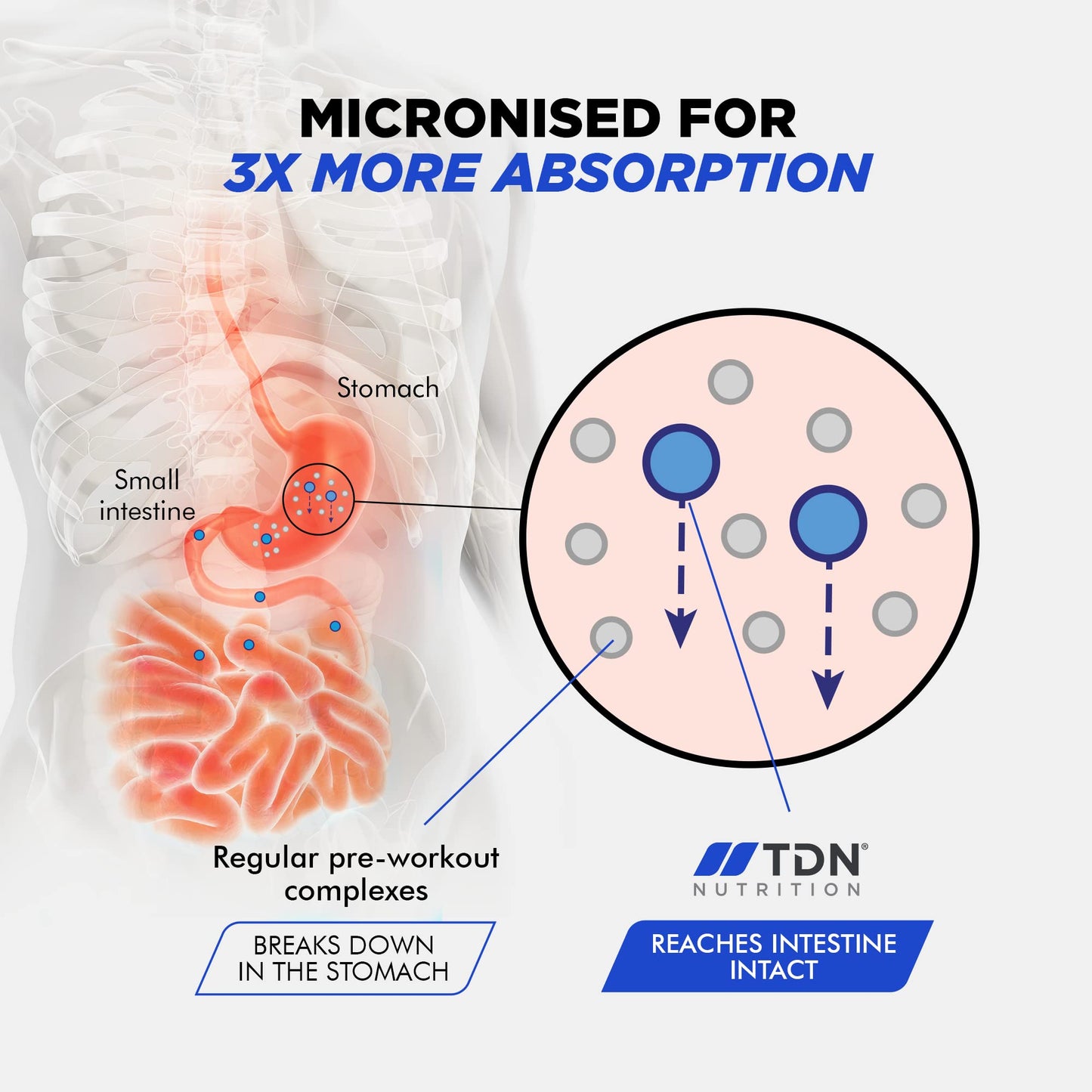TDN Pre Workout Supplement - Extreme Pre Workout Powder - 40 Servings - UK Made Premium preworkout Drink with beta-Alanine, Taurine, L-Isoleucine, D-aspartic Acid, L-valine, Caffeine