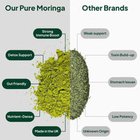 Wish Fusion Organic Moringa Capsules 2400mg, High Strength Pure Moringa Oleifera Leaf Powder, Rich in Antioxidants, Iron & Vitamins, Natural Energy Boost & Immune Support 120 Vegan Capsules