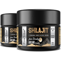 Shilajit Resin Gold Standard Shilajit - 600mg Himalayan Shilajit Blend with Ayurvedic Herbal Extracts, High Levels of Fulvic Acid, Supports Energy and Performance, 30 g (Pack of 2)