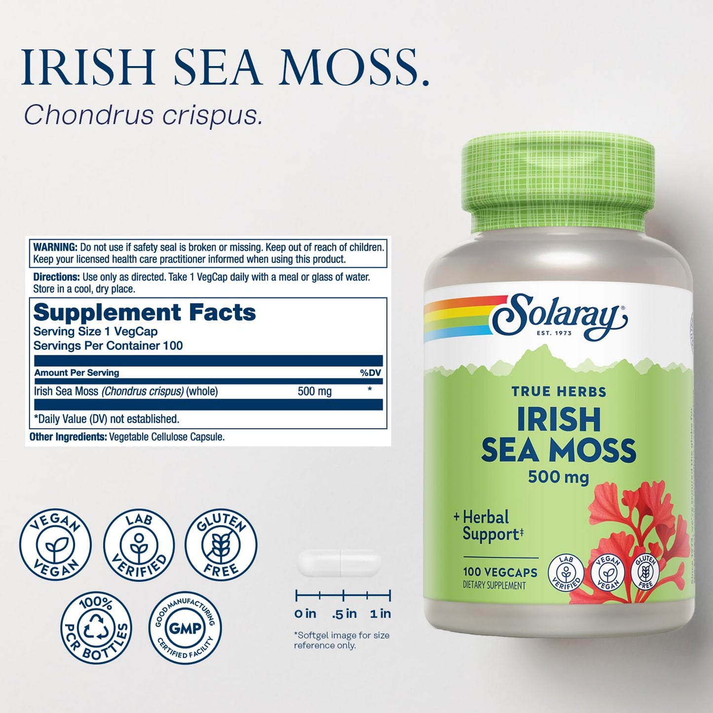 SOLARAY Irish Sea Moss 500 mg Naturally Occurring Vitamins, Minerals, and Fiber Herbal Support for Gut Health and More - Vegan, Gluten Free, Lab Verified - 60 Day Guarantee - 100 Servings, 100 VegCaps